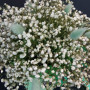 Букет из сухоцветов и гипсофилы фото 2